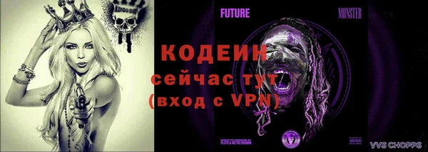 гашик Чегем
