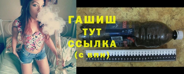 молекула духа Чердынь