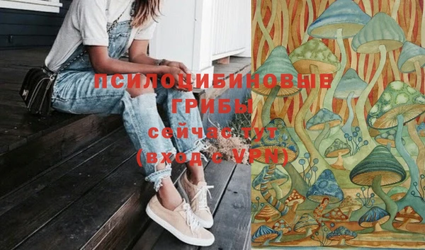 прущие крисы Красноперекопск